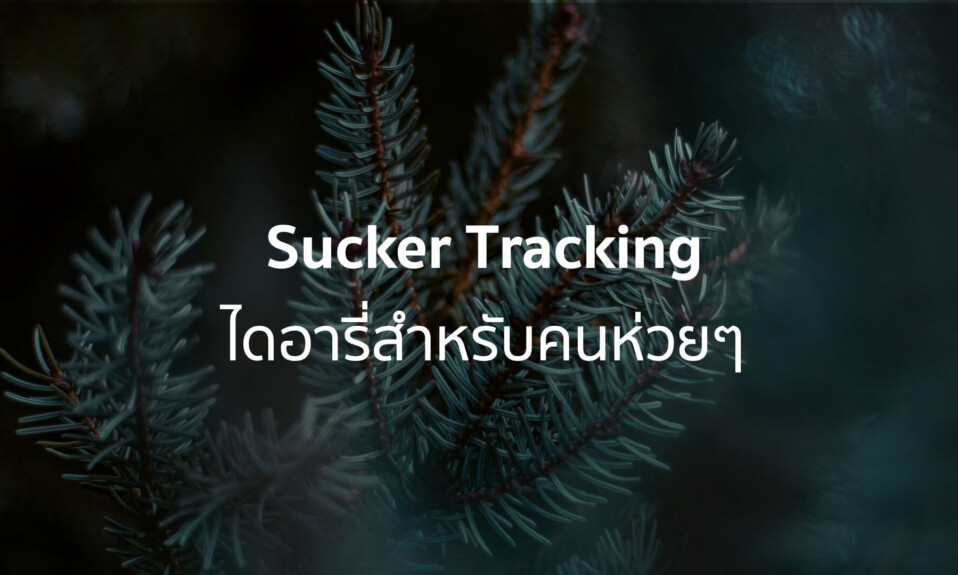 Sucker Tracking cover